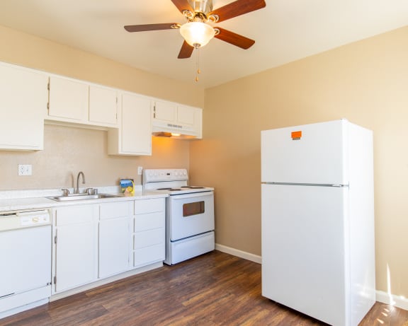 Photo Gallery Image