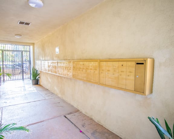 Photo Gallery Image