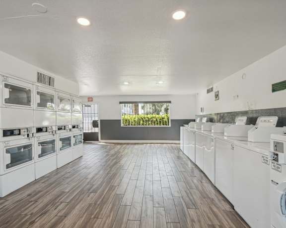 Photo Gallery Image
