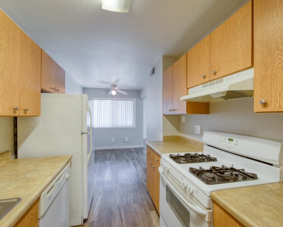Photo Gallery Image