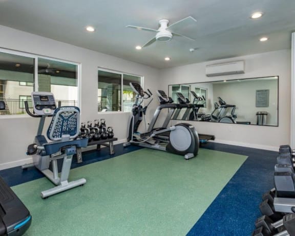 Photo Gallery Image