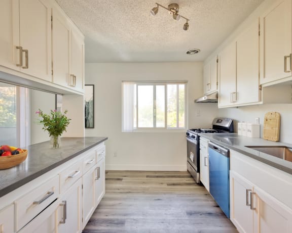 Photo Gallery Image