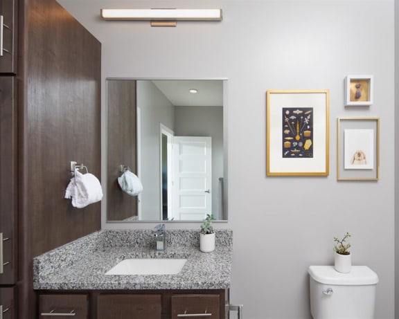 Photo Gallery Image