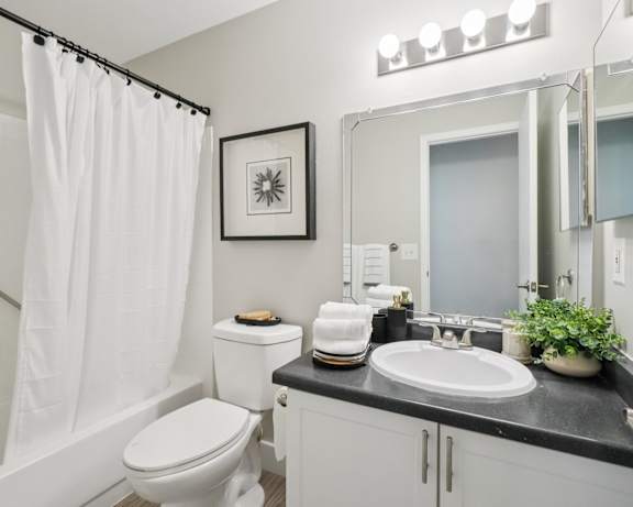 Photo Gallery Image