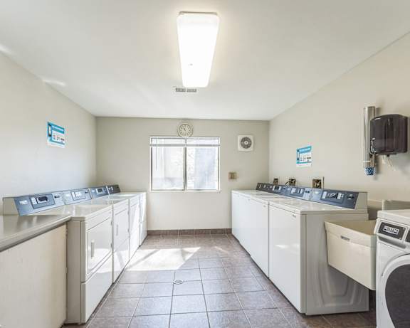 Photo Gallery Image