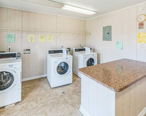 Photo Gallery Image