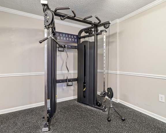 Photo Gallery Image