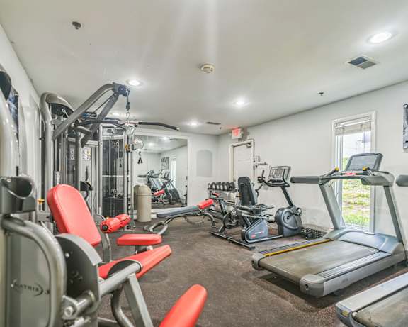 Photo Gallery Image