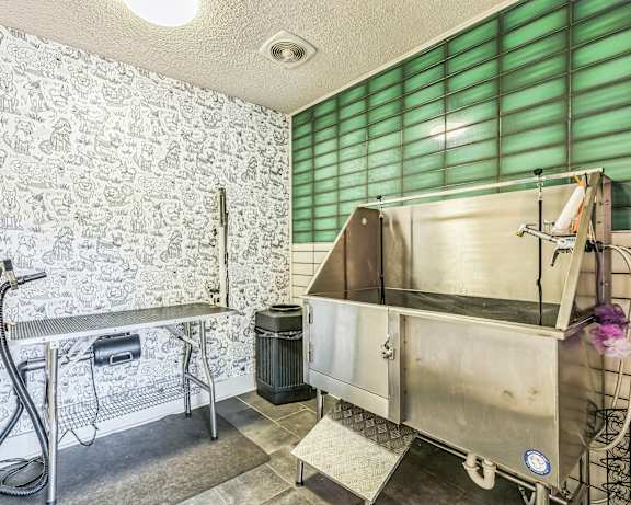 Photo Gallery Image