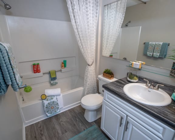 Photo Gallery Image