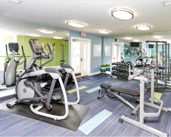 Photo Gallery Image