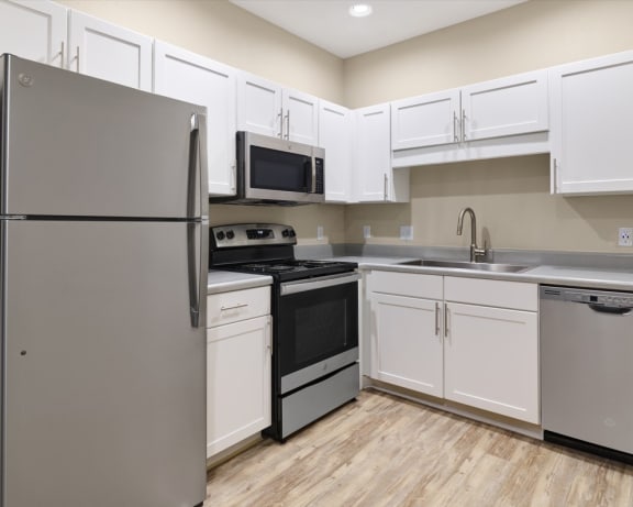 Photo Gallery Image