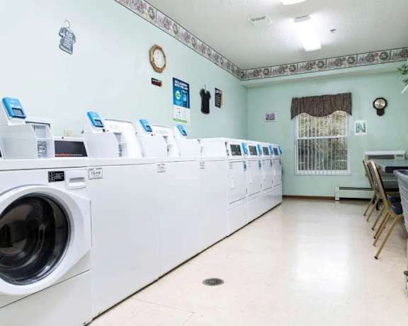 Photo Gallery Image