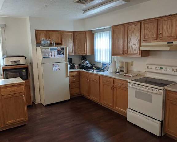 Photo Gallery Image
