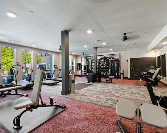 Photo Gallery Image