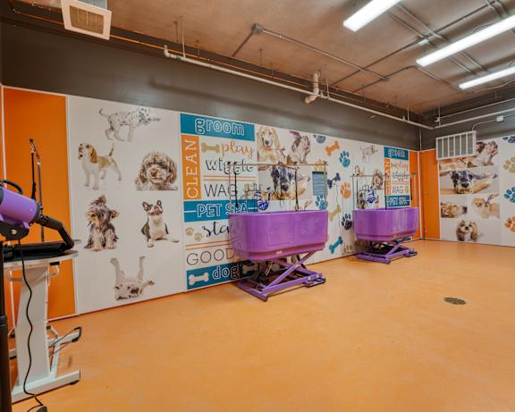 Photo Gallery Image