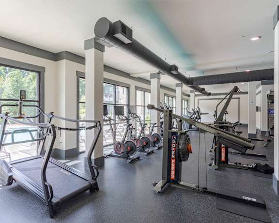 Photo Gallery Image
