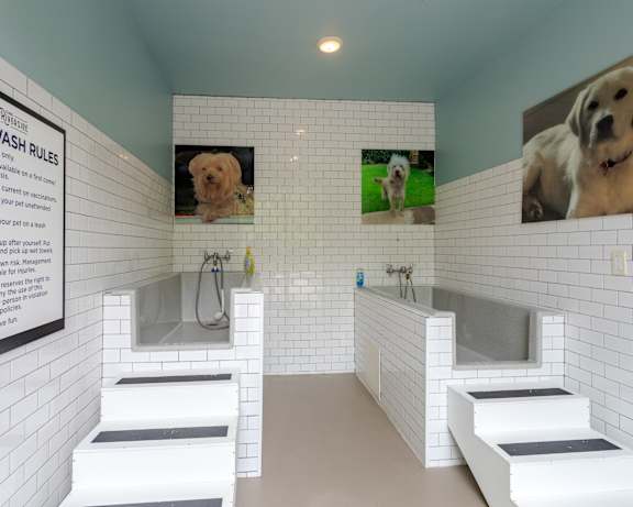 Photo Gallery Image