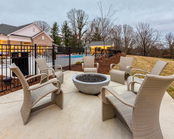 Photo Gallery Image