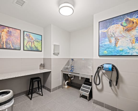 Photo Gallery Image