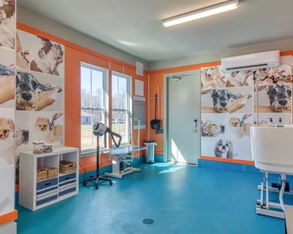Photo Gallery Image