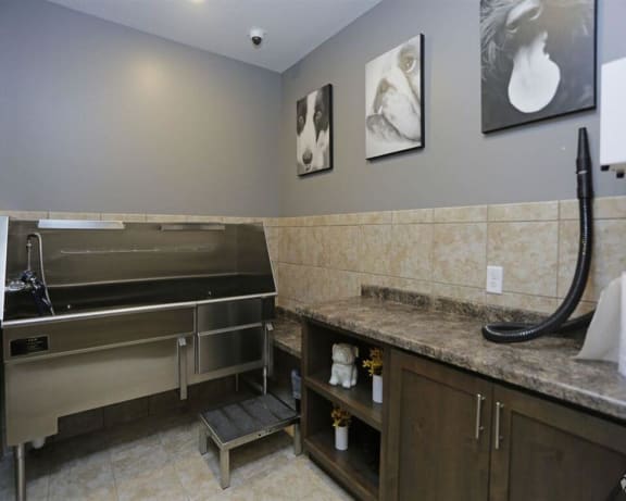 Photo Gallery Image