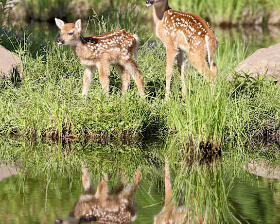 Photo Gallery Image