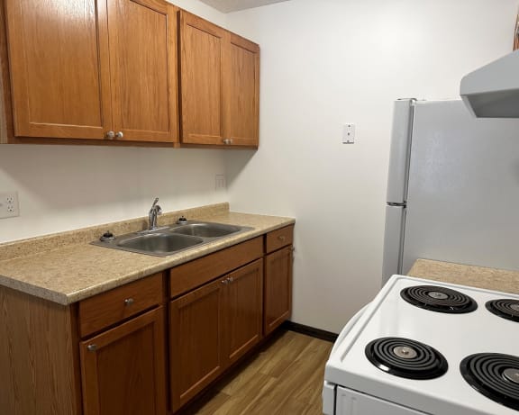 Photo Gallery Image