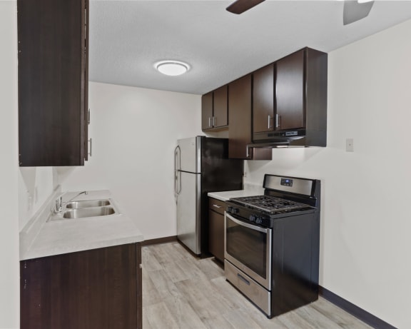 Photo Gallery Image