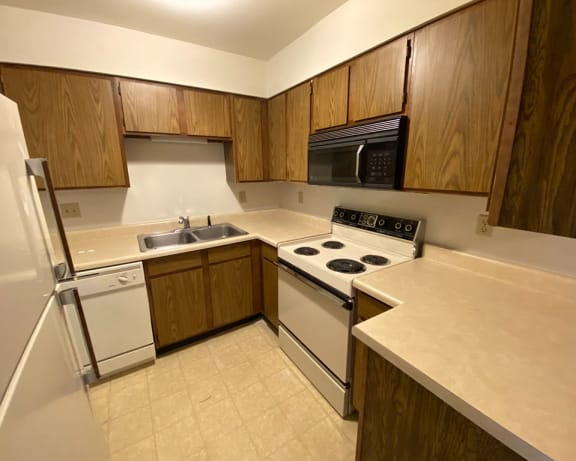 Photo Gallery Image