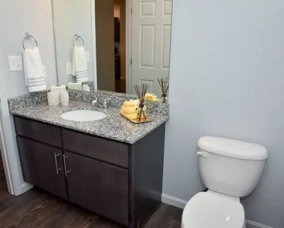 Photo Gallery Image