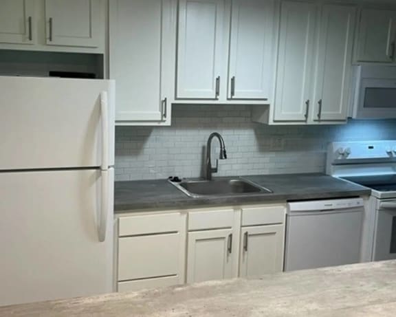 Photo Gallery Image