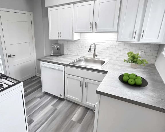 Photo Gallery Image
