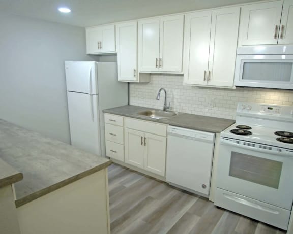 Photo Gallery Image