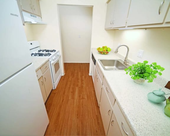 Photo Gallery Image