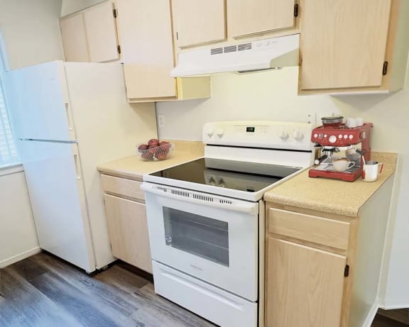 Photo Gallery Image