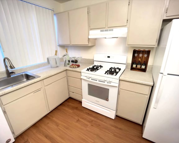 Photo Gallery Image