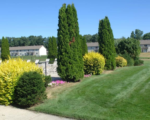 Photo Gallery Image