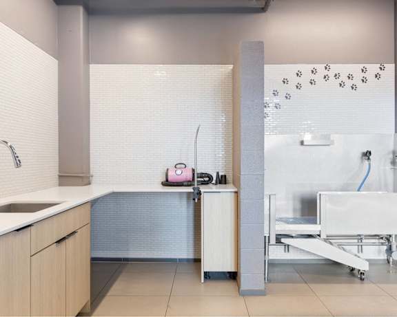 Photo Gallery Image