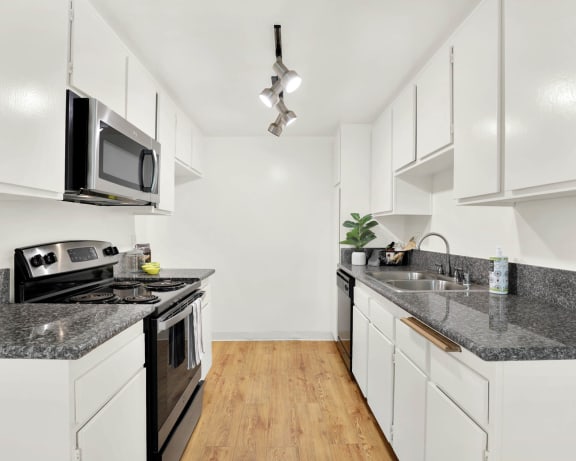 Photo Gallery Image