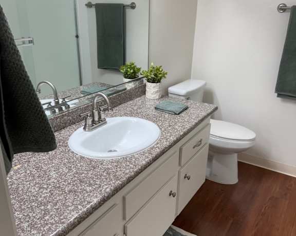 Photo Gallery Image