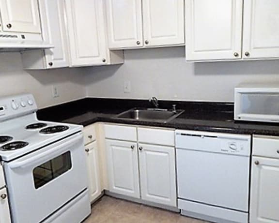 Photo Gallery Image