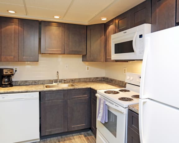 Photo Gallery Image