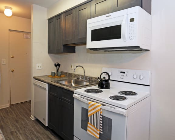 Photo Gallery Image