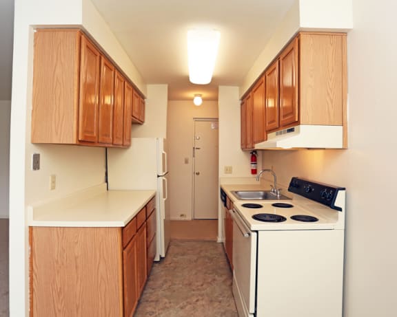 Photo Gallery Image