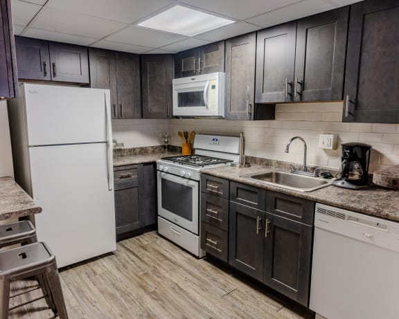 Photo Gallery Image