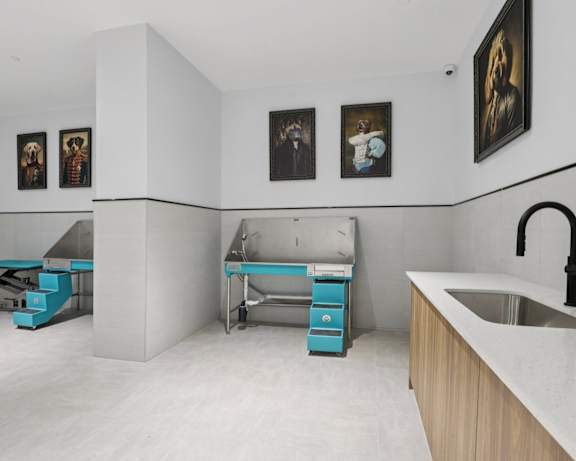 Photo Gallery Image
