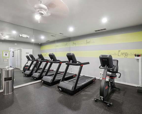 Photo Gallery Image