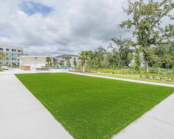 Photo Gallery Image
