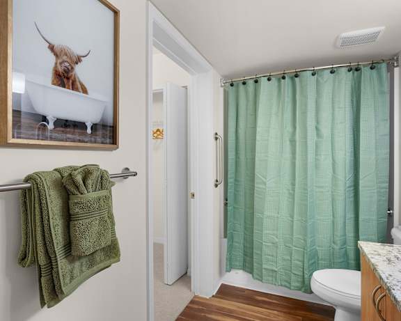 Photo Gallery Image